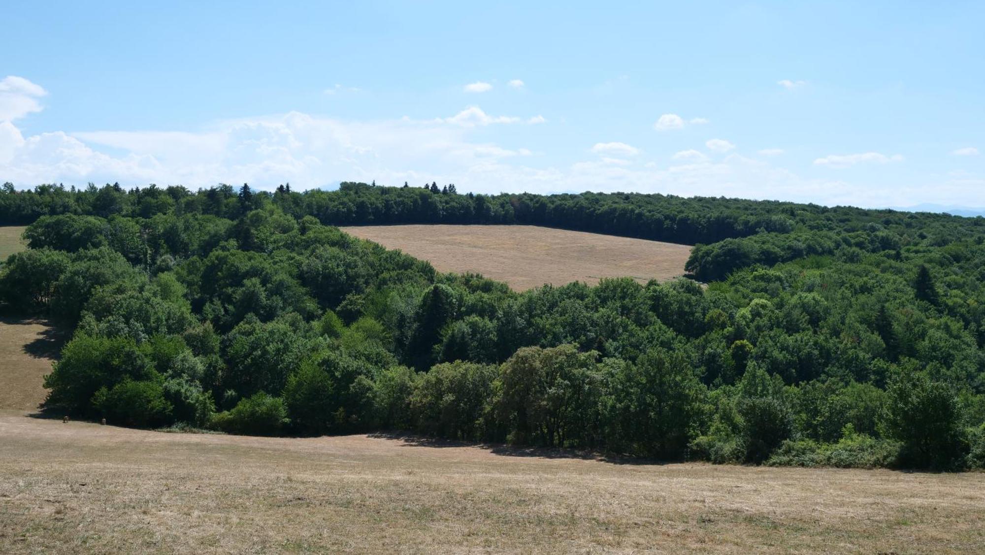 Maison Avec Vue Sur Le Lac De Montbel المظهر الخارجي الصورة