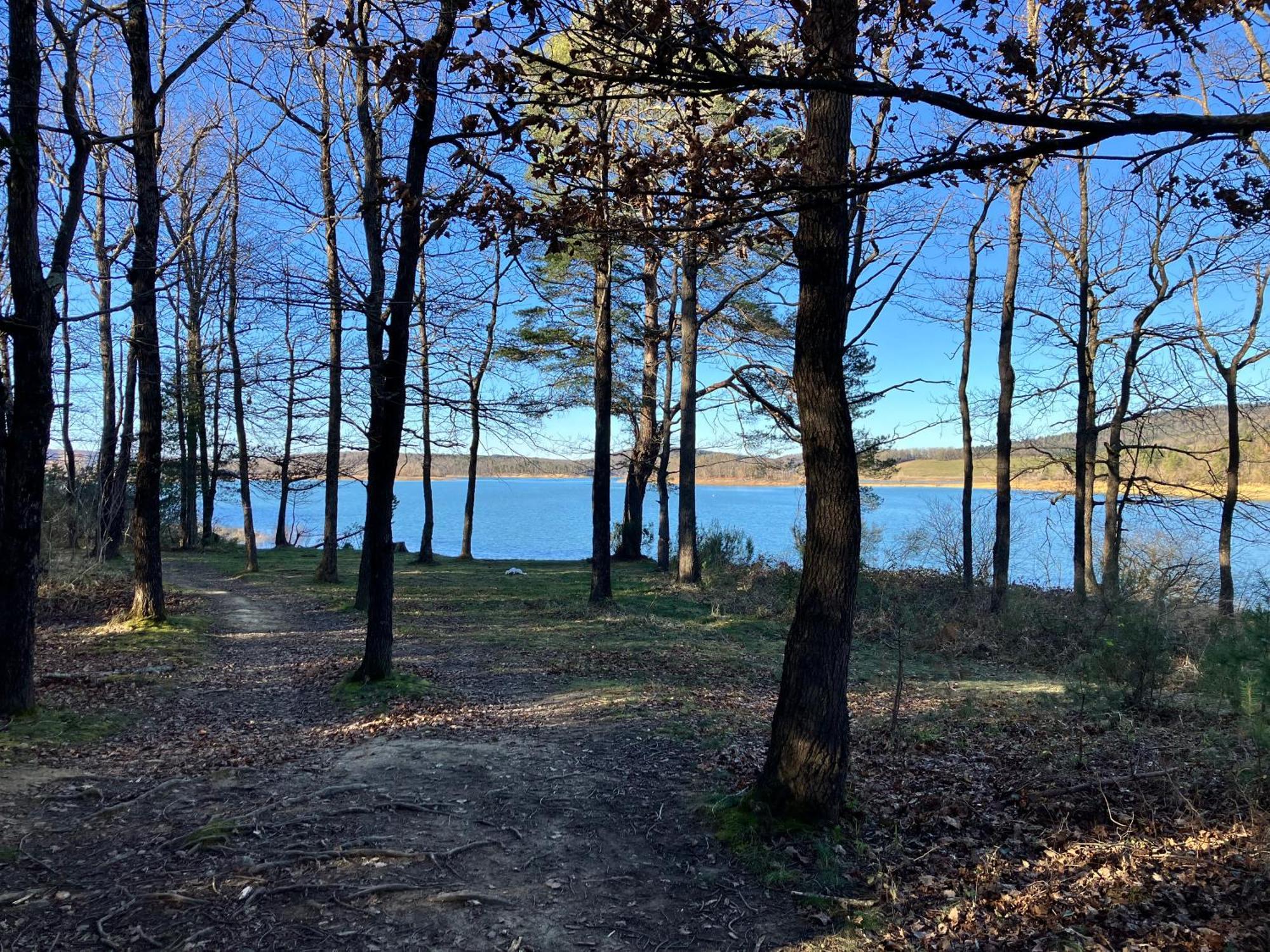 Maison Avec Vue Sur Le Lac De Montbel المظهر الخارجي الصورة